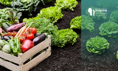 How do we feed 8 billion people?