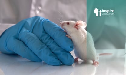 Lab Animal Care and Research