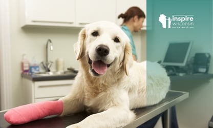 Veterinary Surgery (Caution: Graphic Content)